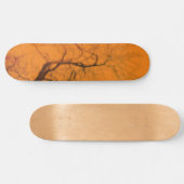 STYLE ET DESIGN SKATEBOARD (Horz)