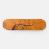 STYLE ET DESIGN SKATEBOARD (Horz)