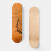 STYLE ET DESIGN SKATEBOARD (Recto)