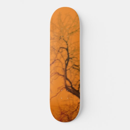 STYLE ET DESIGN SKATEBOARD (Recto)