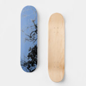 STYLE ET DESIGN SKATEBOARD (Recto)