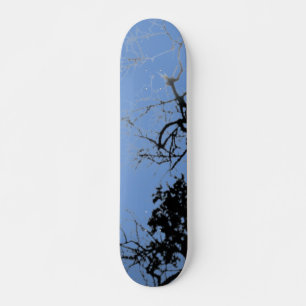 STYLE ET DESIGN SKATEBOARD