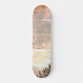STYLE ET DESIGN SKATEBOARD (Devant)