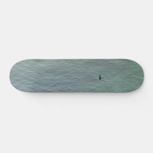 STYLE ET DESIGN SKATEBOARD (Horz)