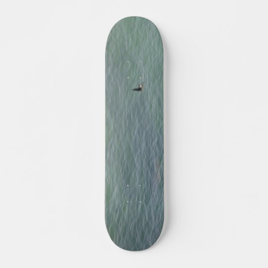 STYLE ET DESIGN SKATEBOARD (Devant)