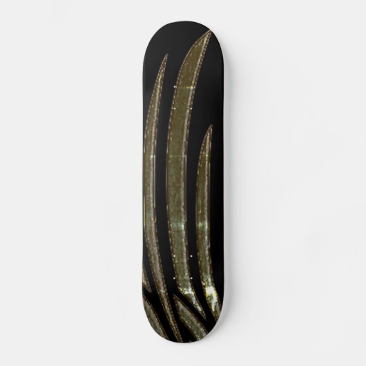 STYLE ET DESIGN SKATEBOARD (Recto)