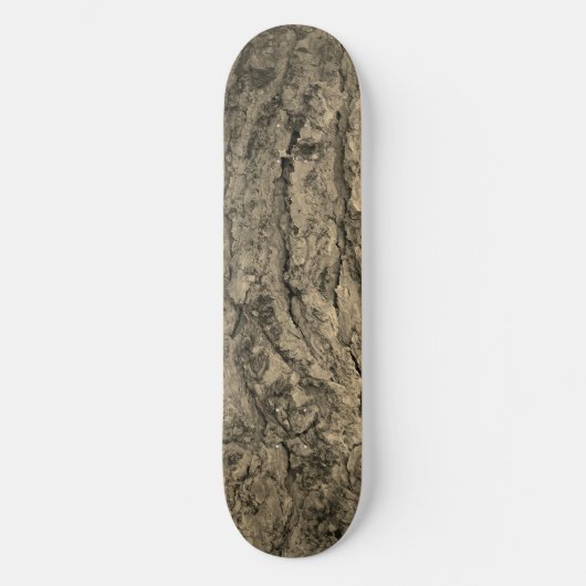 STYLE ET DESIGN SKATEBOARD (Recto)