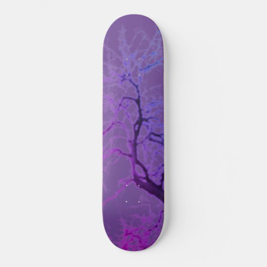 STYLE ET DESIGN SKATEBOARD (Recto)
