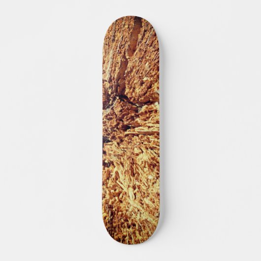 STYLE ET DESIGN SKATEBOARD (Devant)