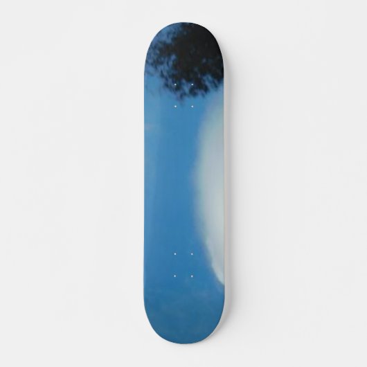 STYLE ET DESIGN SKATEBOARD (Devant)