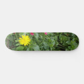 STYLE ET DESIGN SKATEBOARD (Horz)