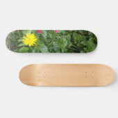STYLE ET DESIGN SKATEBOARD (Horz)