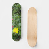 STYLE ET DESIGN SKATEBOARD (Recto)
