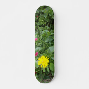 STYLE ET DESIGN SKATEBOARD
