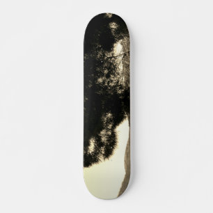 STYLE ET DESIGN SKATEBOARD