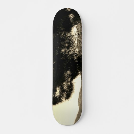 STYLE ET DESIGN SKATEBOARD (Devant)