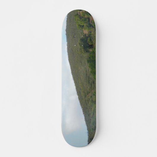 STYLE ET DESIGN SKATEBOARD (Devant)