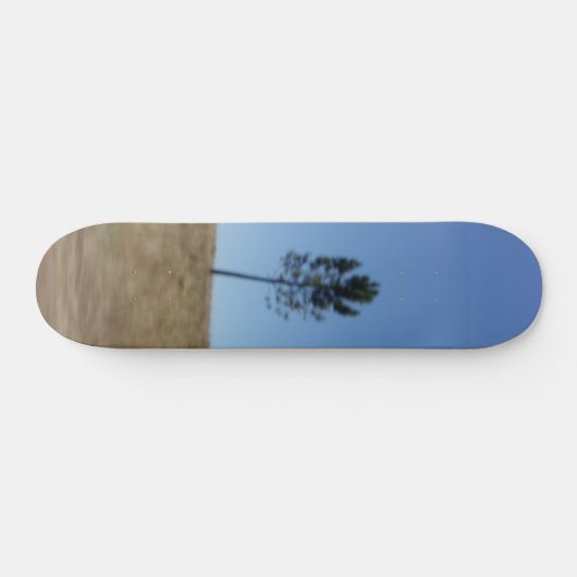 STYLE ET DESIGN SKATEBOARD (Horz)