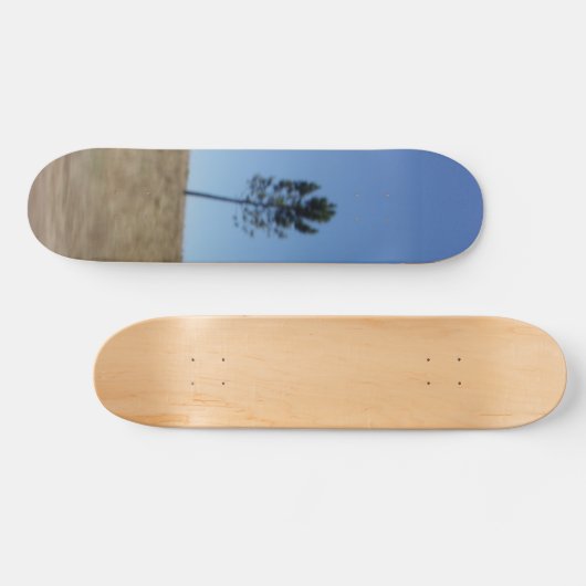 STYLE ET DESIGN SKATEBOARD (Horz)