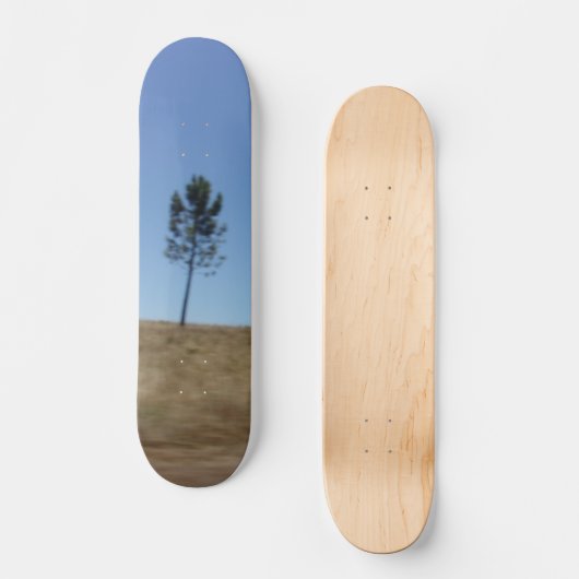 STYLE ET DESIGN SKATEBOARD (Recto)