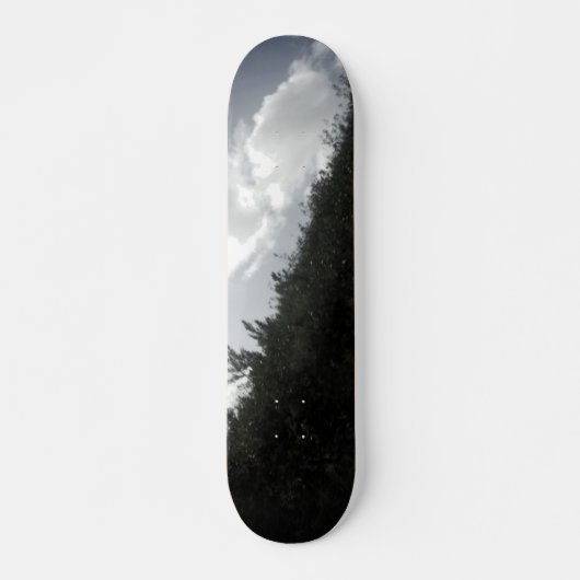 STYLE ET DESIGN SKATEBOARD (Devant)