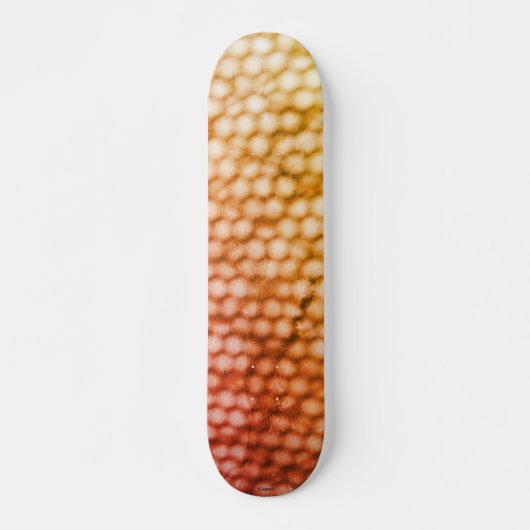STYLE ET DESIGN SKATEBOARD (Devant)