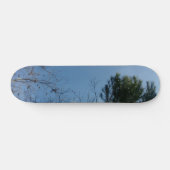 STYLE ET DESIGN SKATEBOARD (Horz)