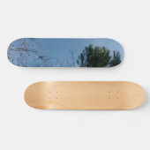 STYLE ET DESIGN SKATEBOARD (Horz)