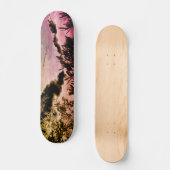 STYLE ET DESIGN SKATEBOARD (Recto)