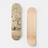 STYLE ET DESIGN SKATEBOARD (Recto)