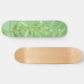STYLE ET DESIGN SKATEBOARD (Horz)