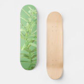 STYLE ET DESIGN SKATEBOARD (Recto)