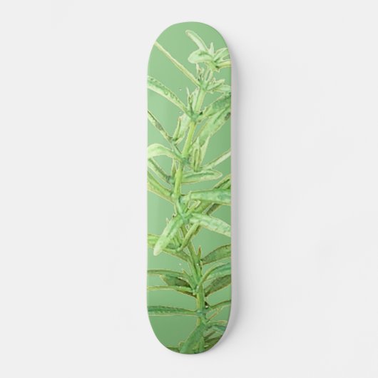 STYLE ET DESIGN SKATEBOARD (Recto)