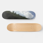 STYLE ET DESIGN SKATEBOARD (Horz)