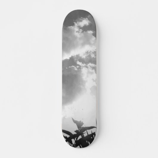 STYLE ET DESIGN SKATEBOARD (Devant)