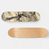 STYLE ET DESIGN SKATEBOARD (Horz)