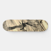 STYLE ET DESIGN SKATEBOARD (Horz)