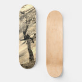 STYLE ET DESIGN SKATEBOARD (Recto)