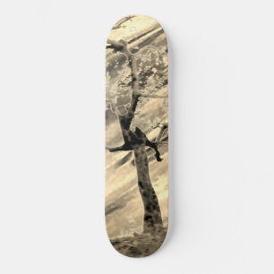 STYLE ET DESIGN SKATEBOARD