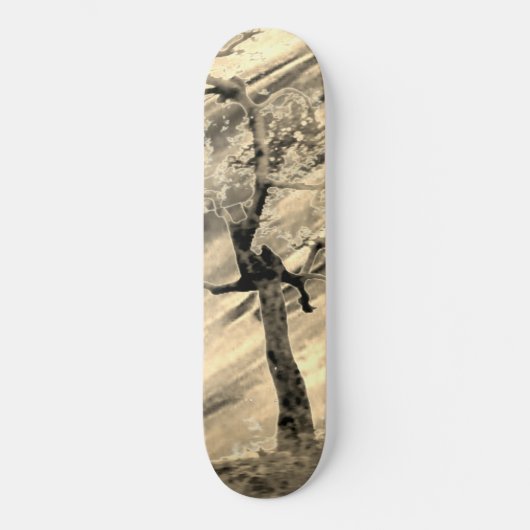 STYLE ET DESIGN SKATEBOARD (Recto)
