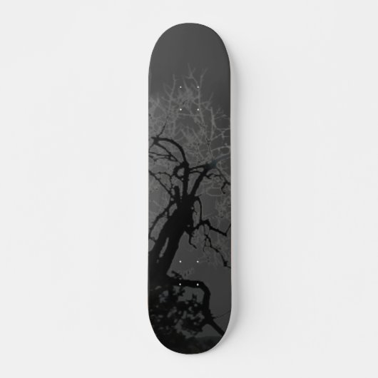 STYLE ET DESIGN SKATEBOARD (Devant)