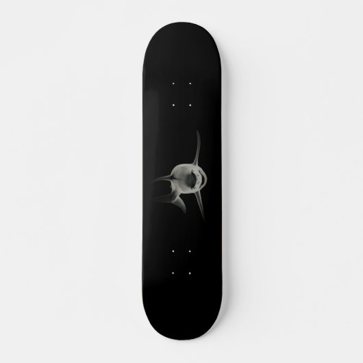 STYLE ET DESIGN SKATEBOARD (Devant)