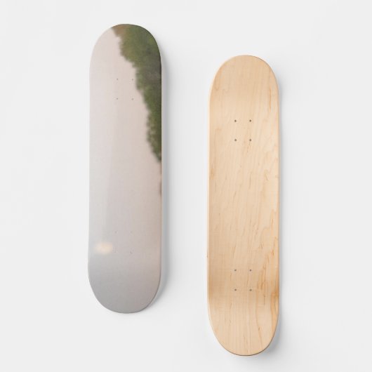 STYLE ET DESIGN SKATEBOARD (Recto)