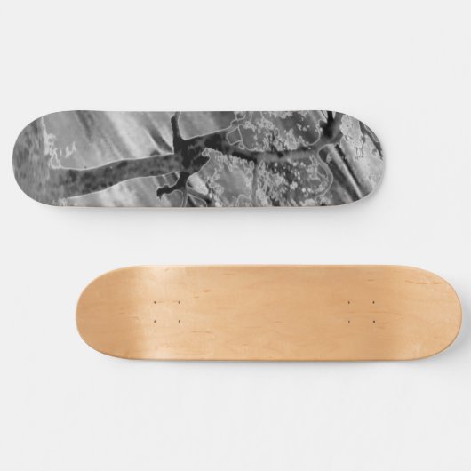 STYLE ET DESIGN SKATEBOARD (Horz)