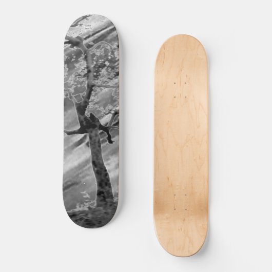 STYLE ET DESIGN SKATEBOARD (Recto)