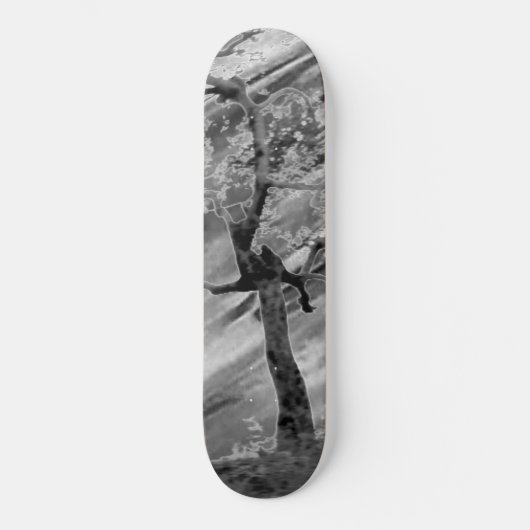 STYLE ET DESIGN SKATEBOARD (Recto)