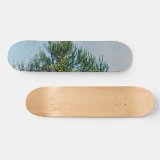 STYLE ET DESIGN SKATEBOARD (Horz)