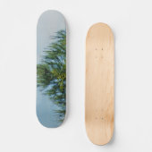 STYLE ET DESIGN SKATEBOARD (Recto)