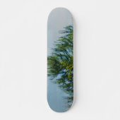 STYLE ET DESIGN SKATEBOARD (Devant)