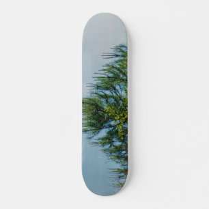 STYLE ET DESIGN SKATEBOARD